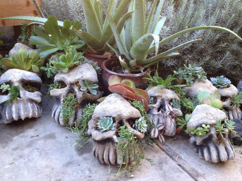Hand-Made Concrete Skull Planter