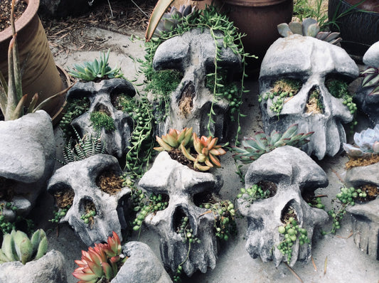Hand-Made Concrete Skull Planter