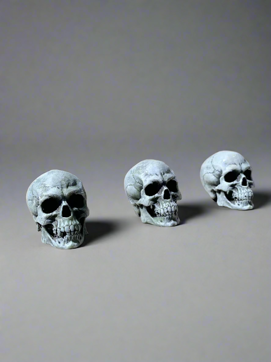 Mini Resin Skulls – Hand-Painted Halloween Decor, Gothic Home Accents (Set of 3)