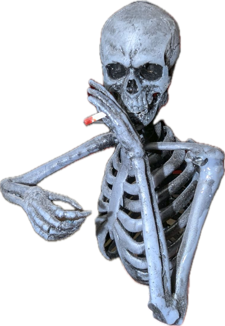 Custom 3D Printed Skeleton Drivers for Axial SCX6 – Hand-Painted, Made in USA – Set of 2